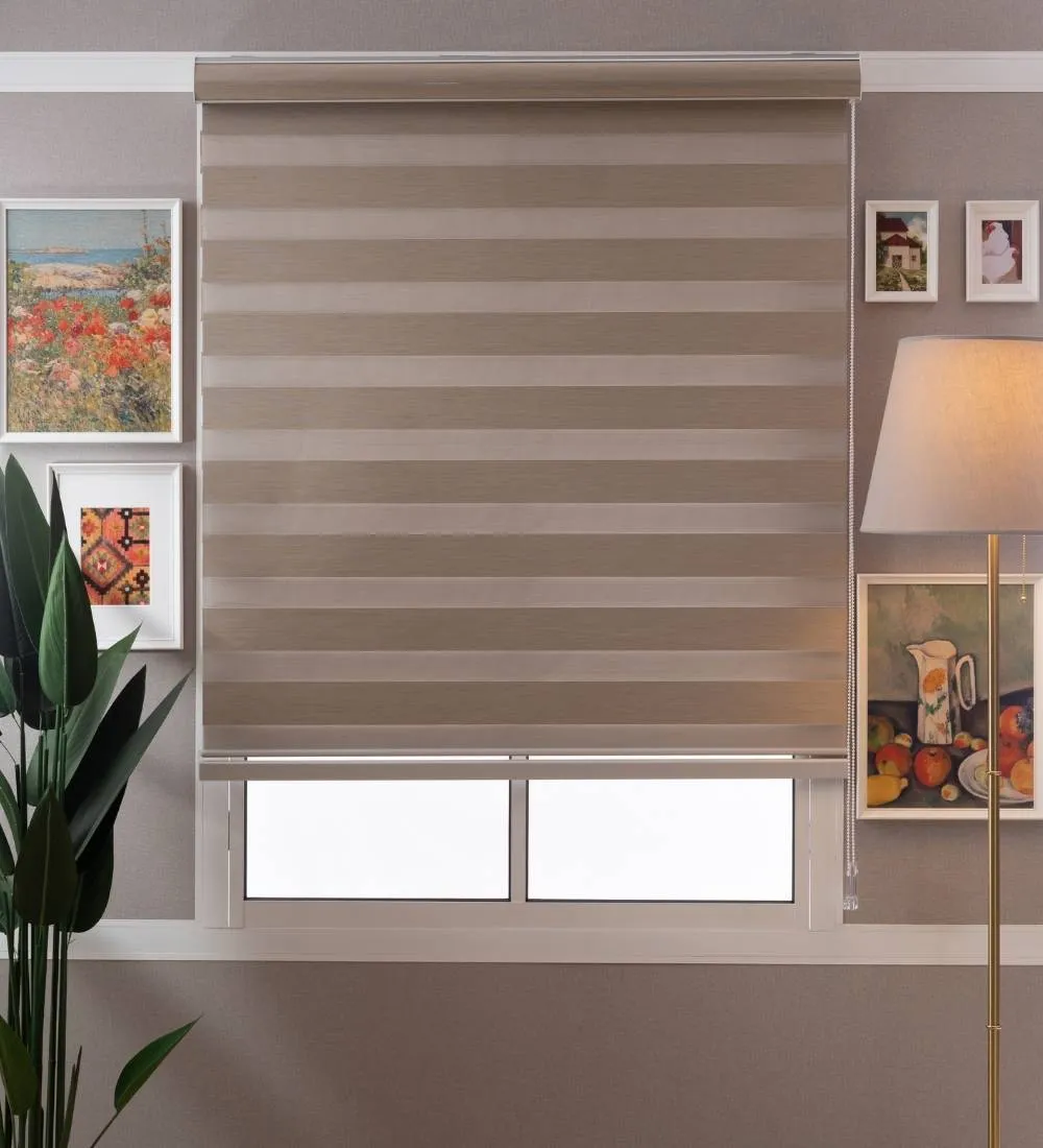 Bira Luxury Designer Blackout Zebra Blinds