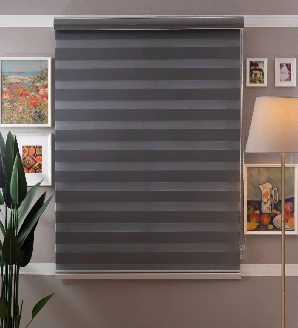 Bira Luxury Designer Blackout Zebra Blinds