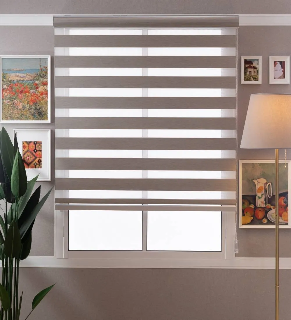 Bira Luxury Designer Blackout Zebra Blinds