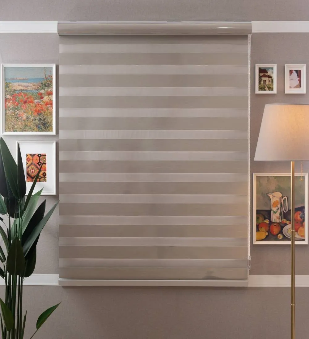 Bira Luxury Designer Blackout Zebra Blinds