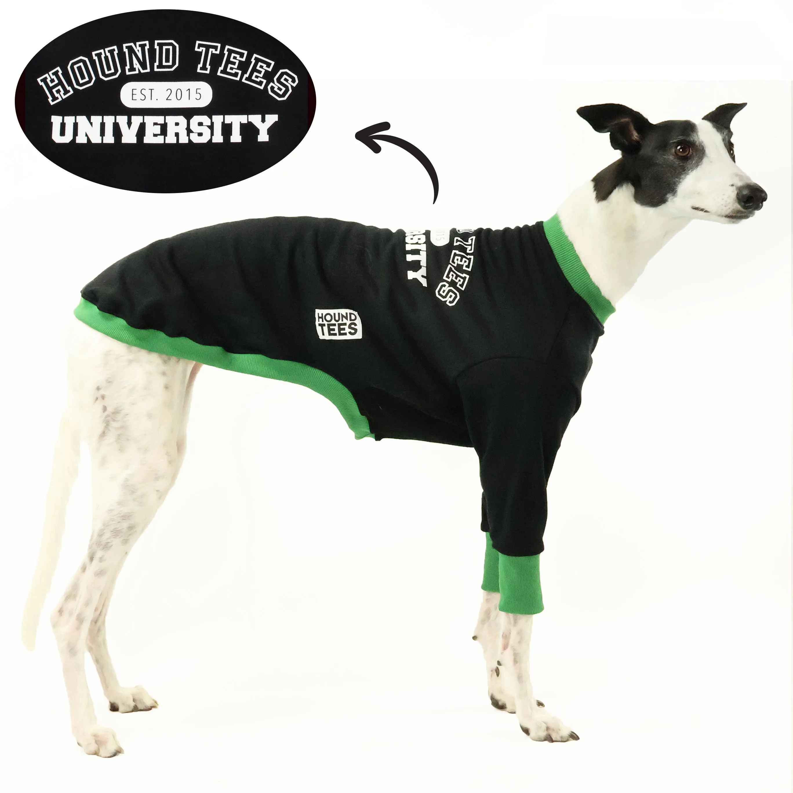 University Greyhound Sweater