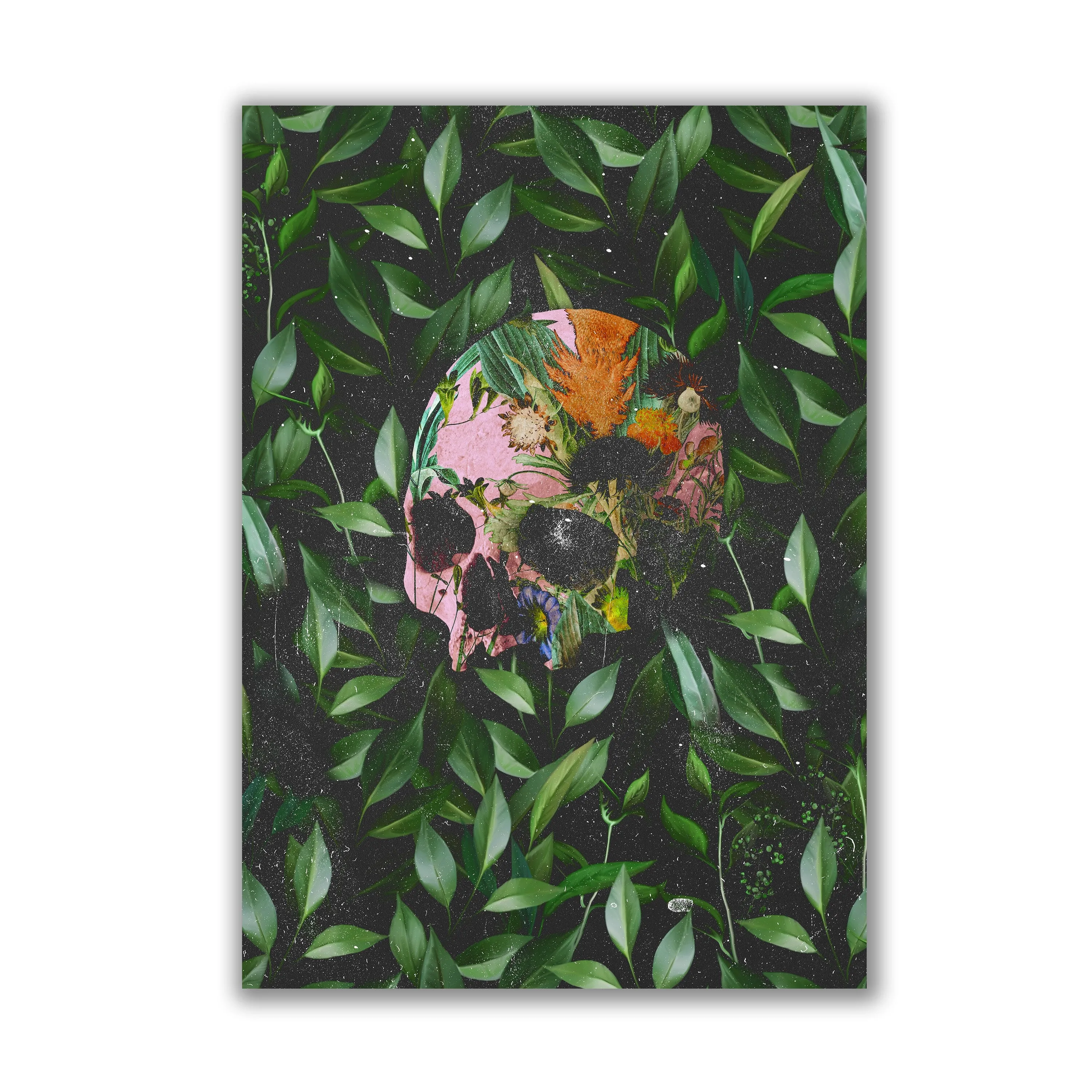 Wild Botanical Skull Print